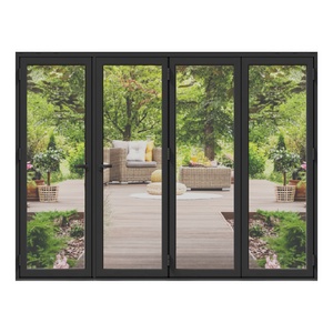 Alexues Series Folding Door